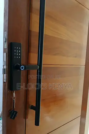 Smart Lock ,Smart Door Lock Tuya Wifi Airbnb Digital Door