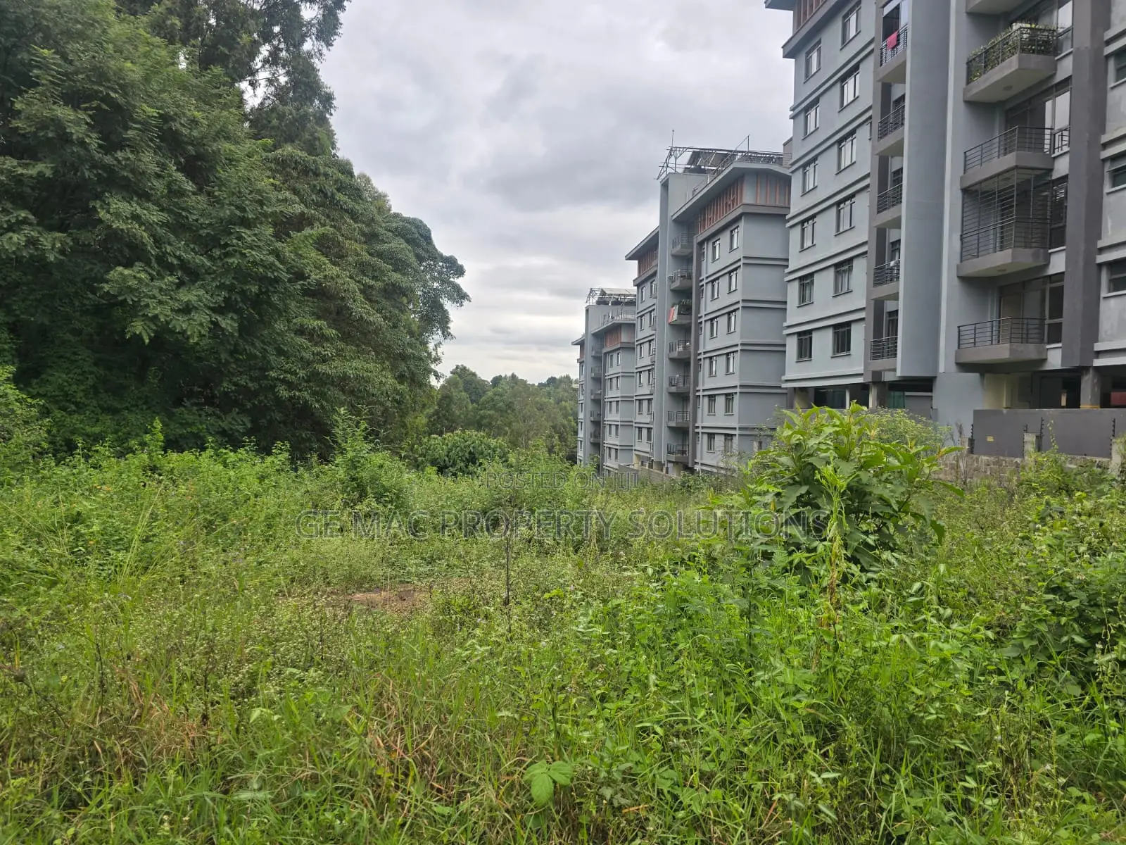 2 Acres Prime Land for Sale in Kitusuru
