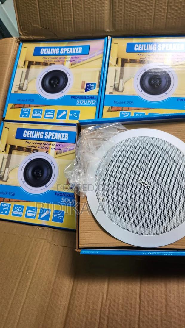 Professional Sound Public Address Ceiling Speaker Set (Model R-912b)