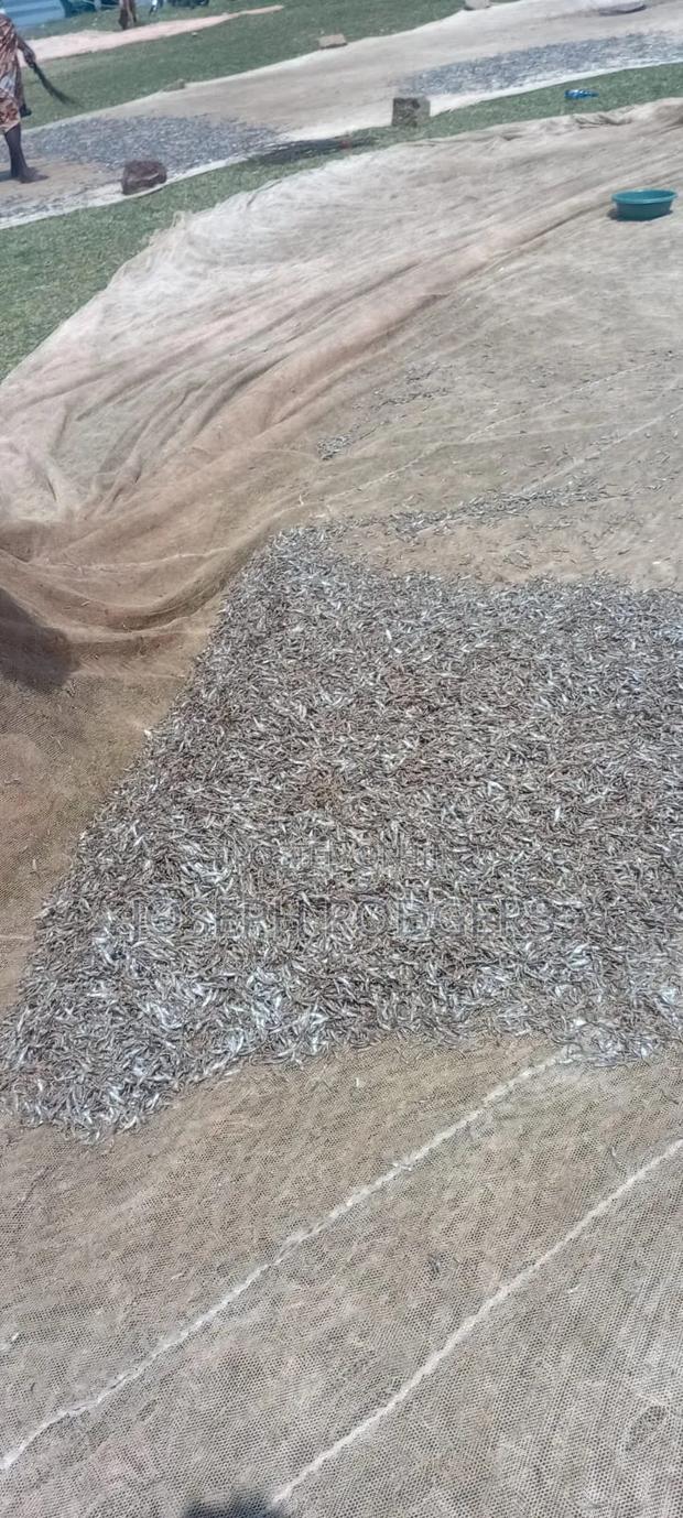 Fresh Omena Available