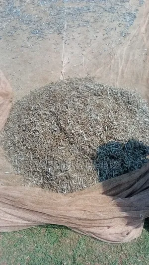 Fresh Omena Available