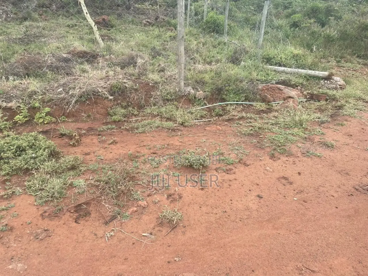 9 Plots in Ngong,
