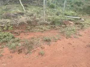 9 Plots in Ngong,