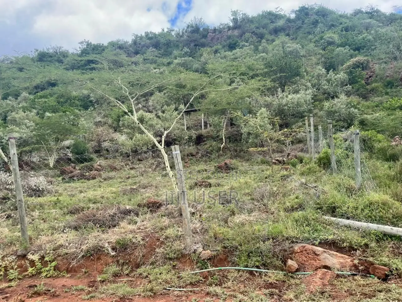 9 Plots in Ngong,