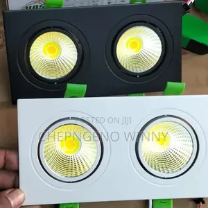 Double Downlighter