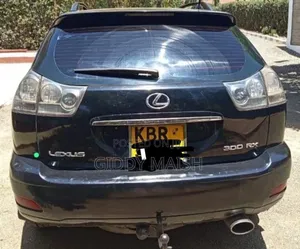 Lexus RX 2004 Black