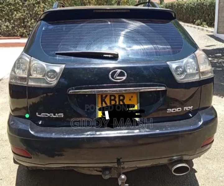Lexus RX 2004 Black