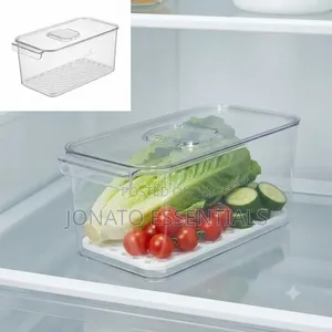 4l Clear Fridge Organizer Box With Drain Tray - Fresh Keeper