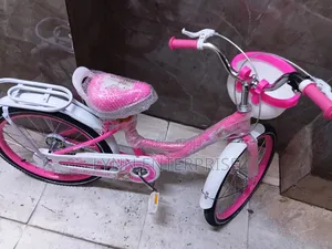 Ladybird Bicycle