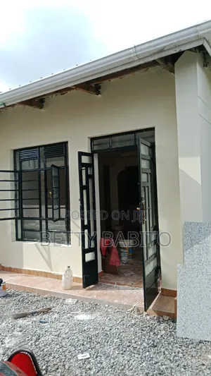 House Painting
