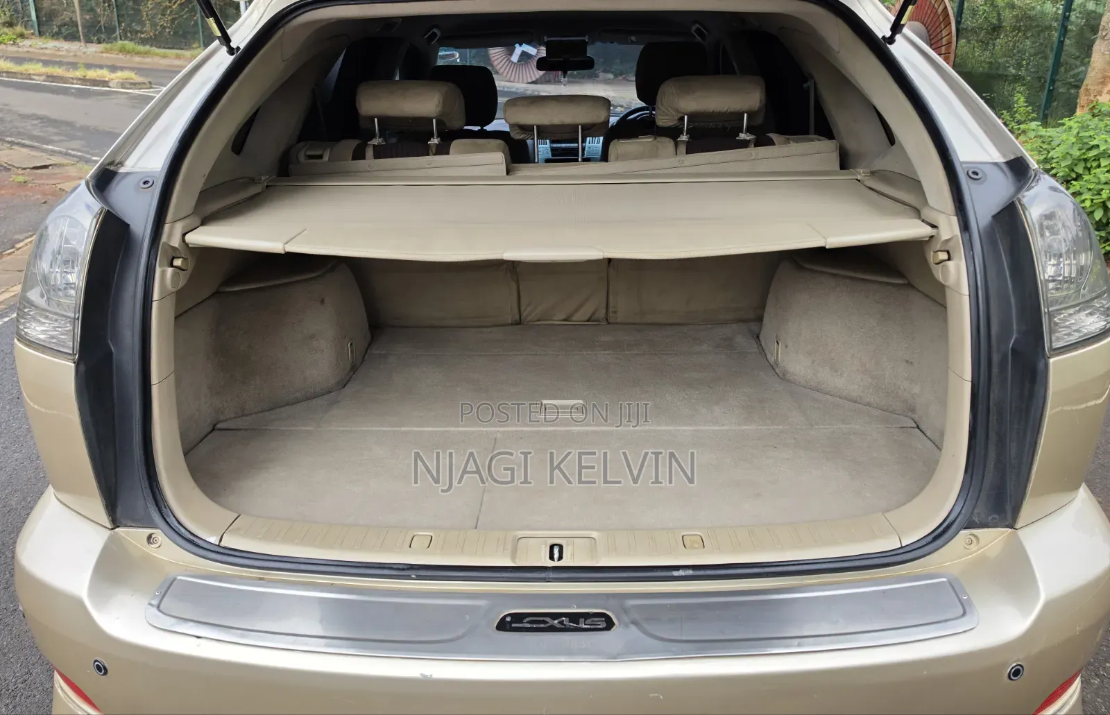 Lexus RX 2003 Gold