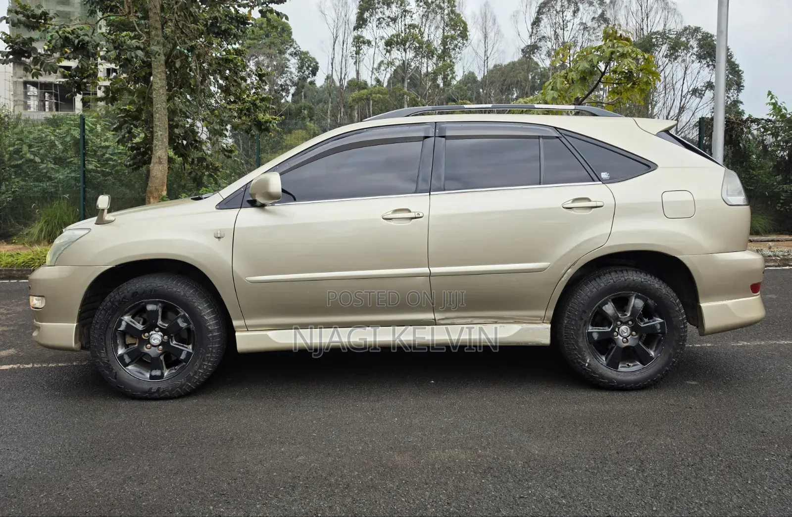 Lexus RX 2003 Gold