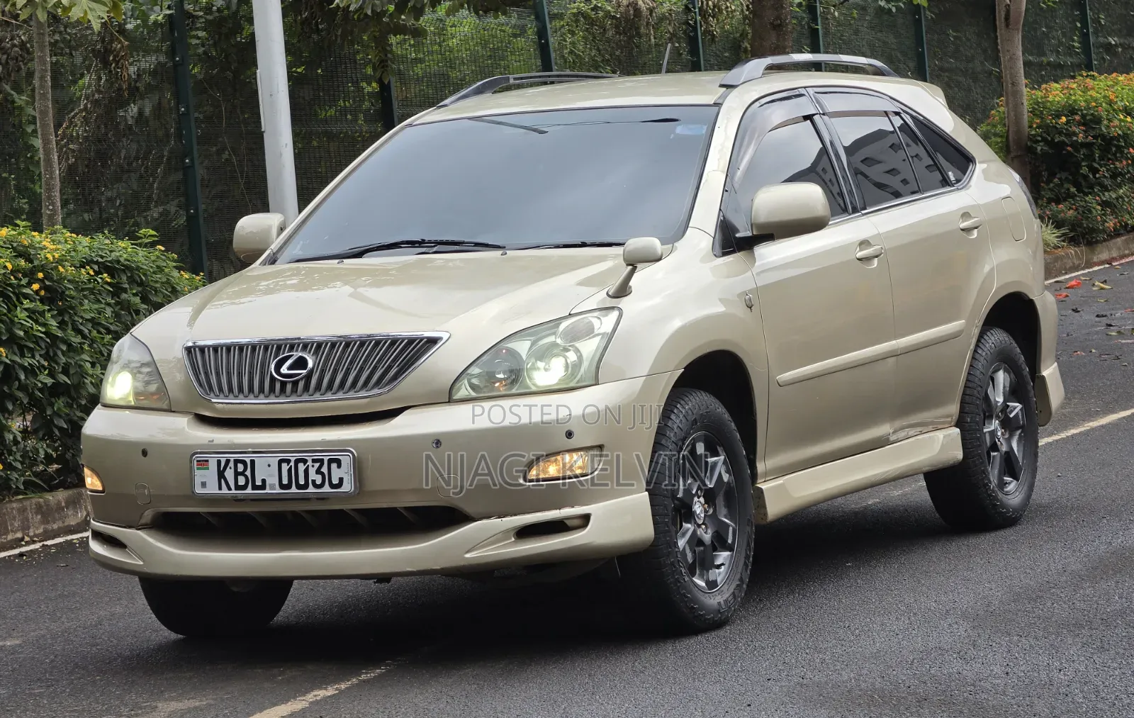 Lexus RX 2003 Gold