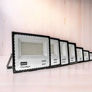 Commercial-grade 200w,100w,50w,30w Ac Electric Led Flood Light