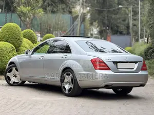 Mercedes-Benz S-Class 2011 Gray
