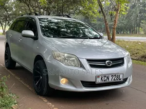 Toyota Corolla Fielder 2010 Silver