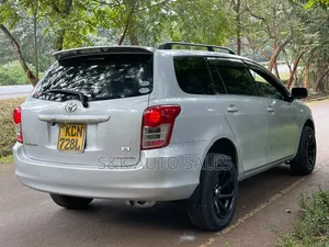 Toyota Corolla Fielder 2010 Silver