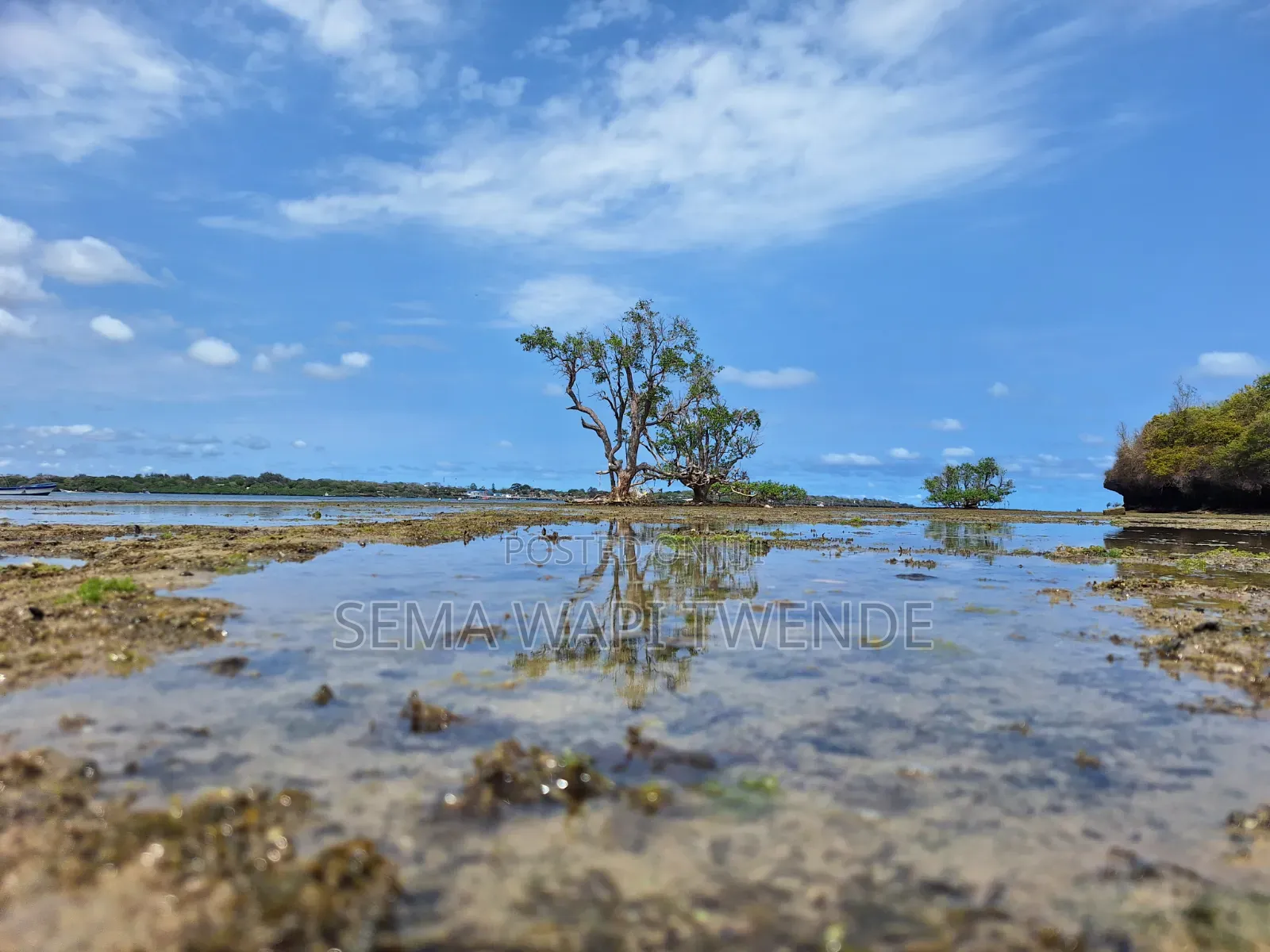 Wasini Island Trip