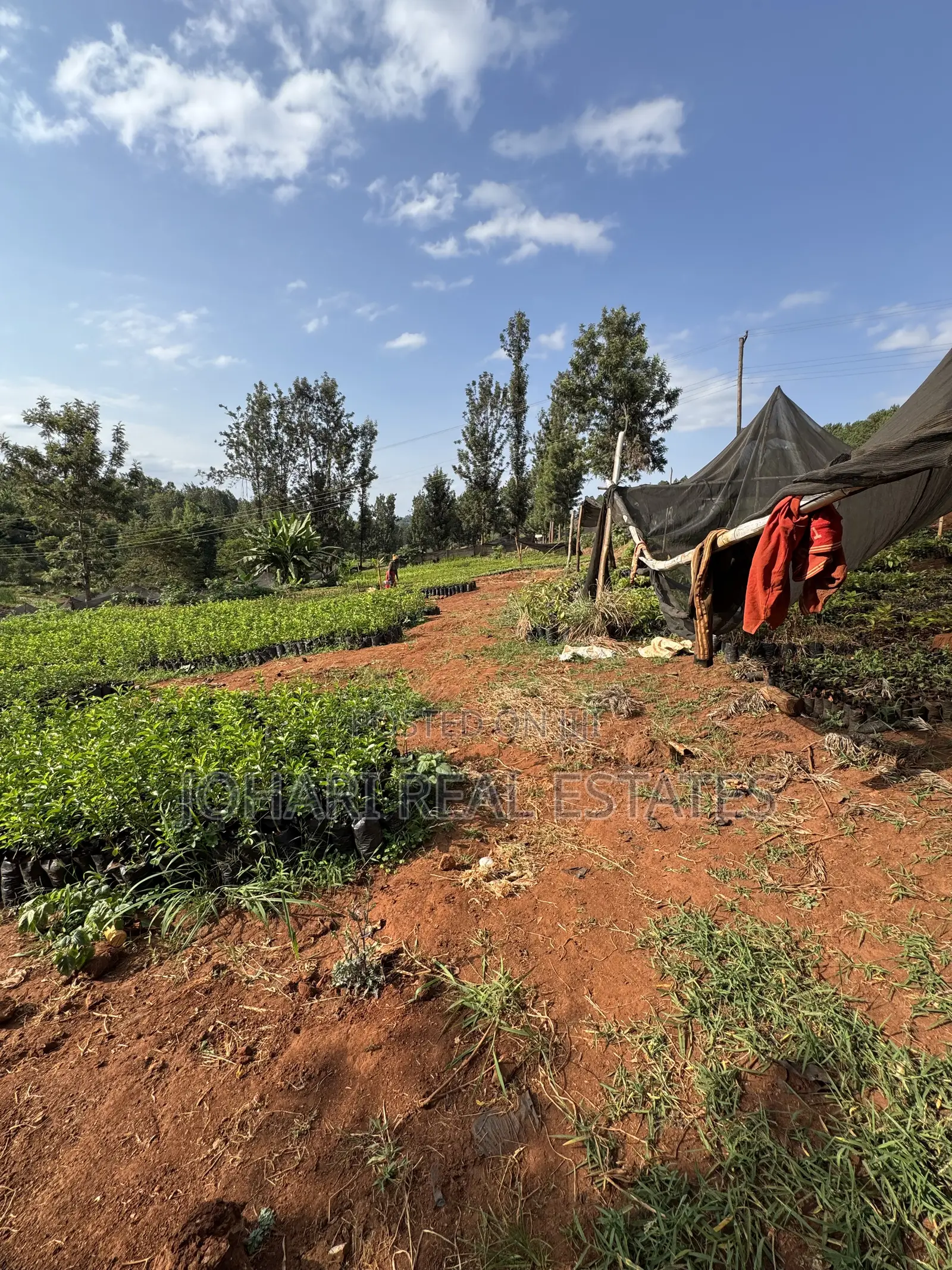 Land for Sale Touching Nairobi-Nanyuki Highway