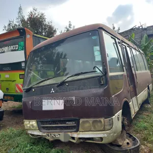 Mitsubishi Fuso Rosa 2014 Brown