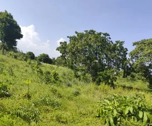 10 Acres Farmland In Malindi Along River Galana For Sale