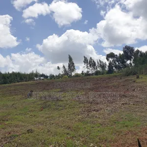 Ol Jorok, Ngano 2.5 Acres