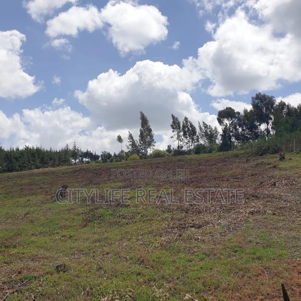 Ol Jorok, Ngano 2.5 Acres