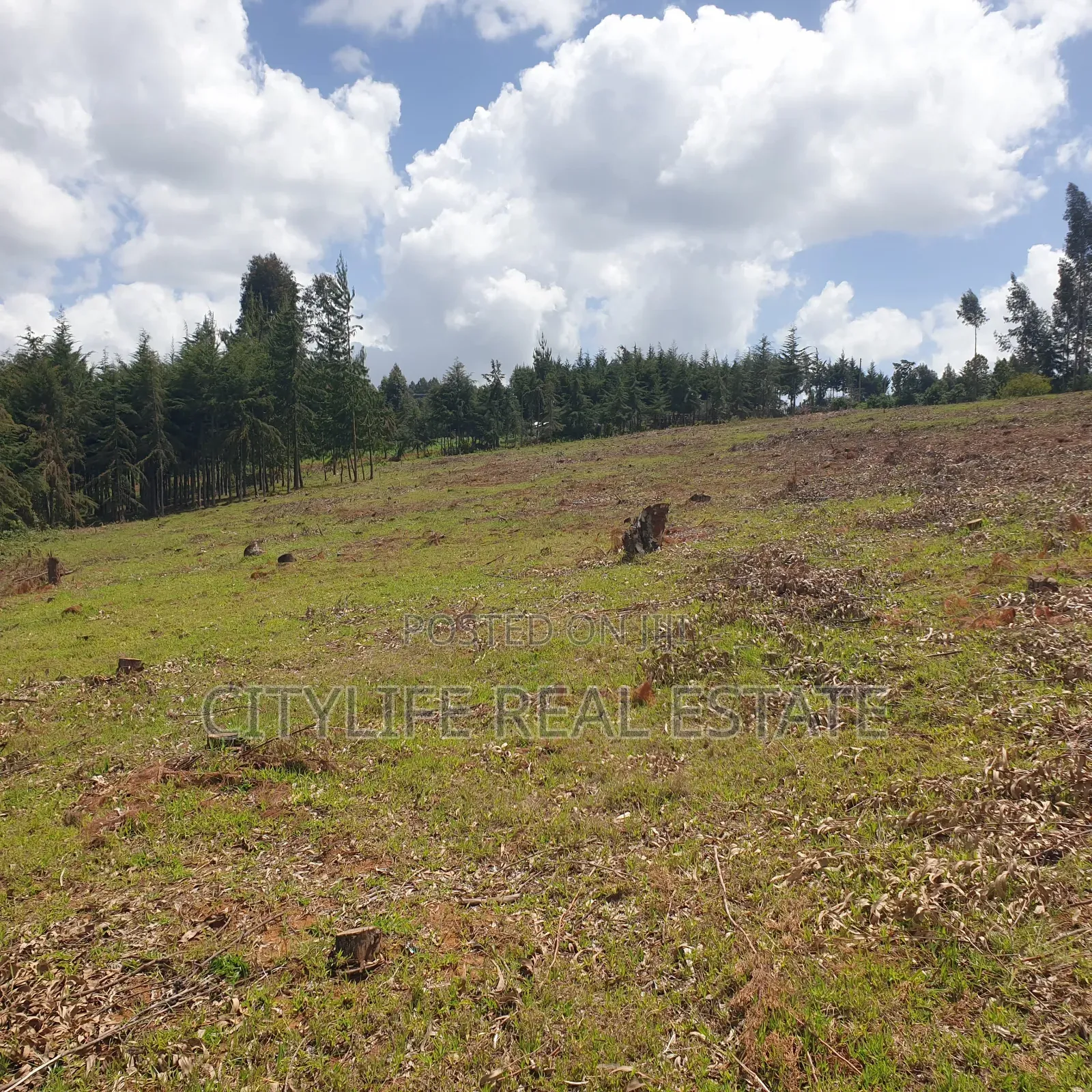 Ol Jorok, Ngano 2.5 Acres