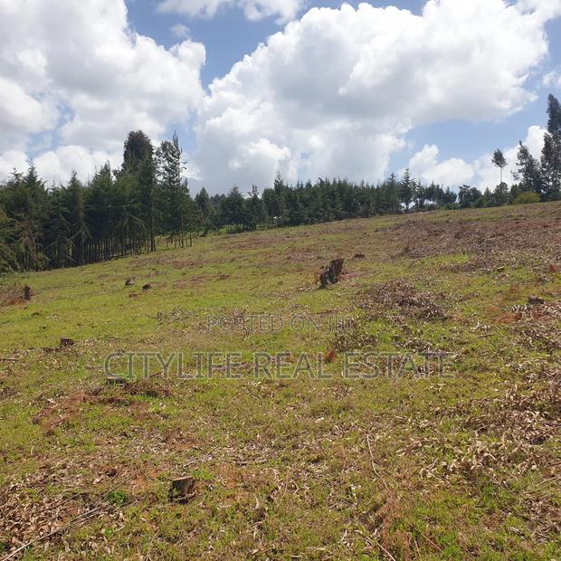 Ol Jorok, Ngano 2.5 Acres - thumbnail 2