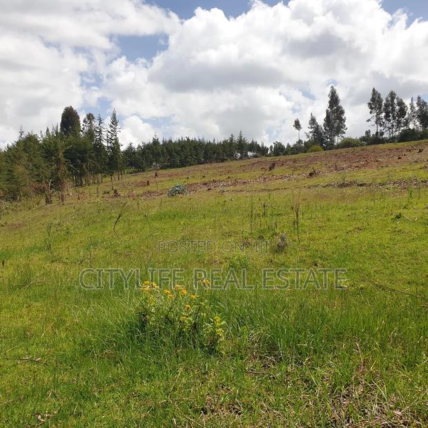 Ol Jorok, Ngano 2.5 Acres - thumbnail 3