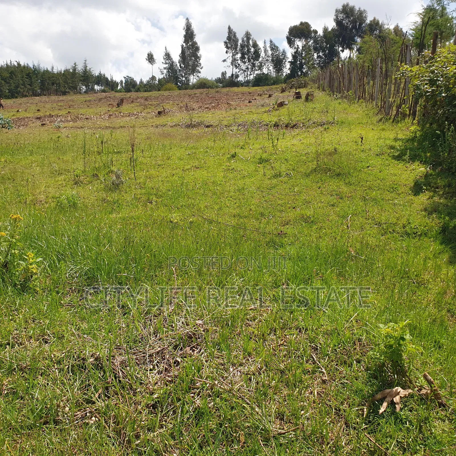 Ol Jorok, Ngano 2.5 Acres