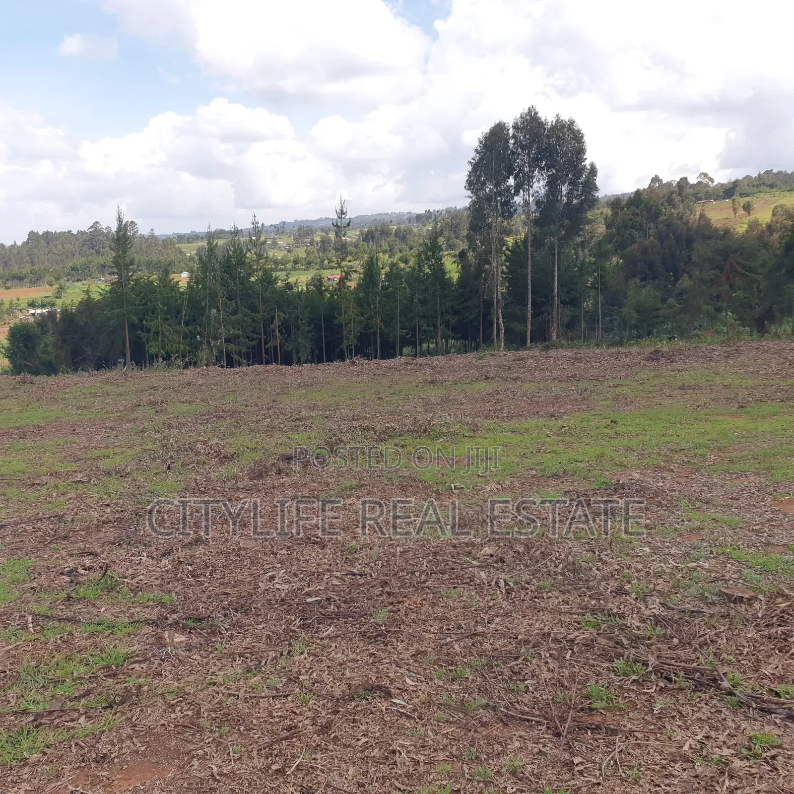 Ol Jorok, Ngano 2.5 Acres