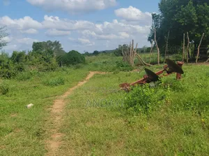 10 Acres Farmland In Malindi Along River Galana For Sale