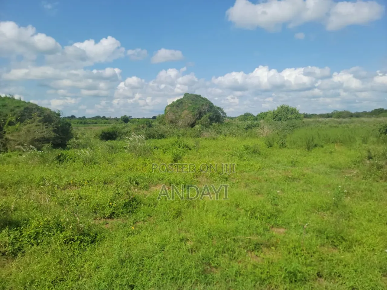 10 Acres Farmland In Malindi Along River Galana For Sale