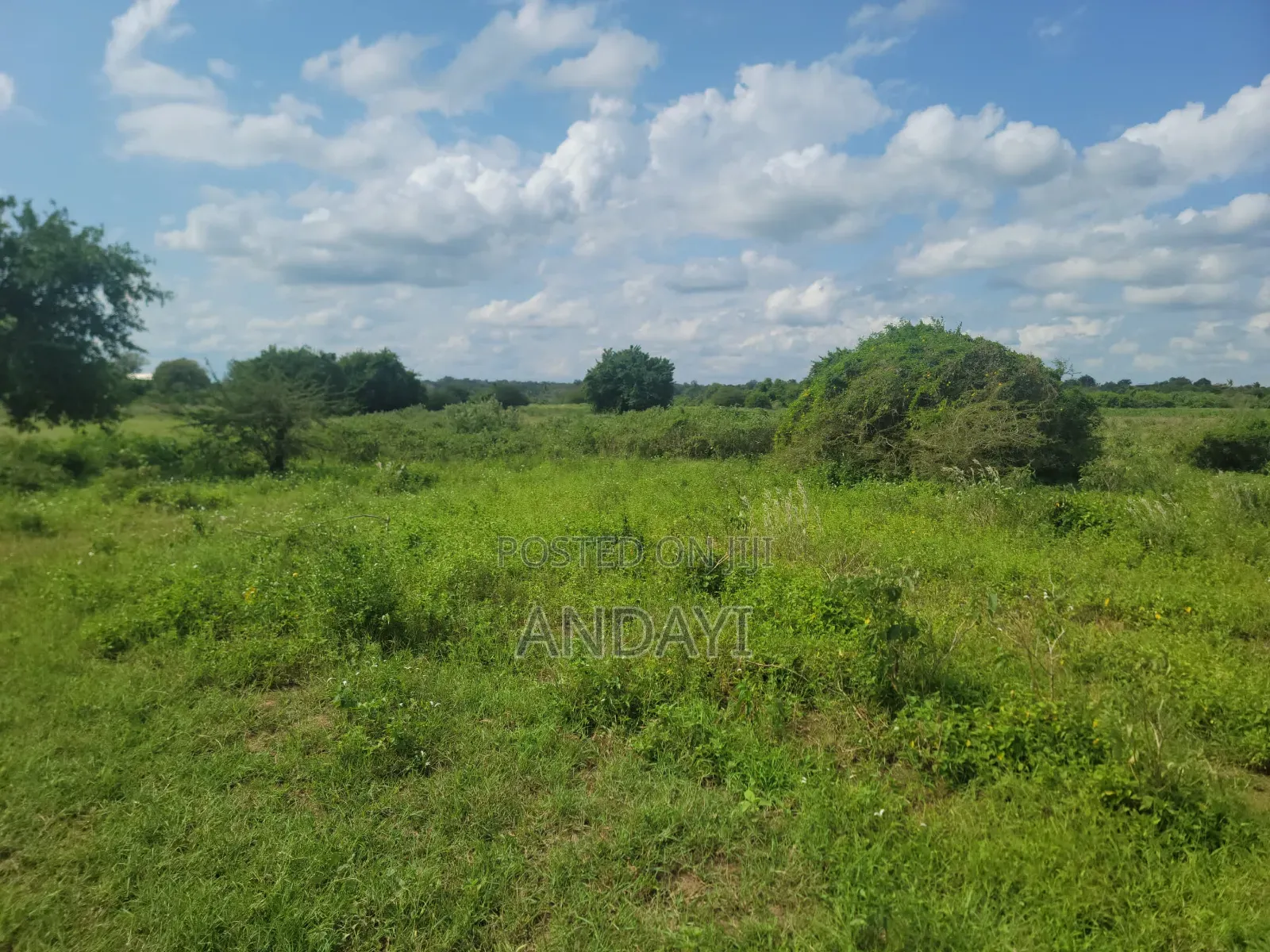 10 Acres Farmland In Malindi Along River Galana For Sale