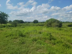 10 Acres Farmland In Malindi Along River Galana For Sale