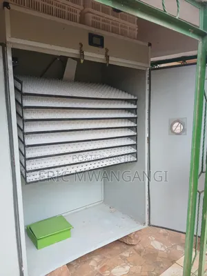 Chicken Incubator