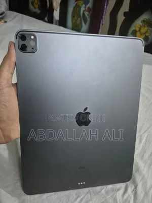Apple iPad Pro 512 GB Gray