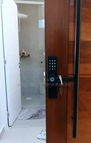 Smart Lock Locast Safe Exterior Interior Remotely App Tuya Wifi Lock