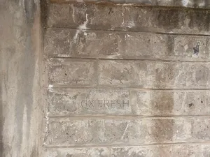 Wall Stones for Sale