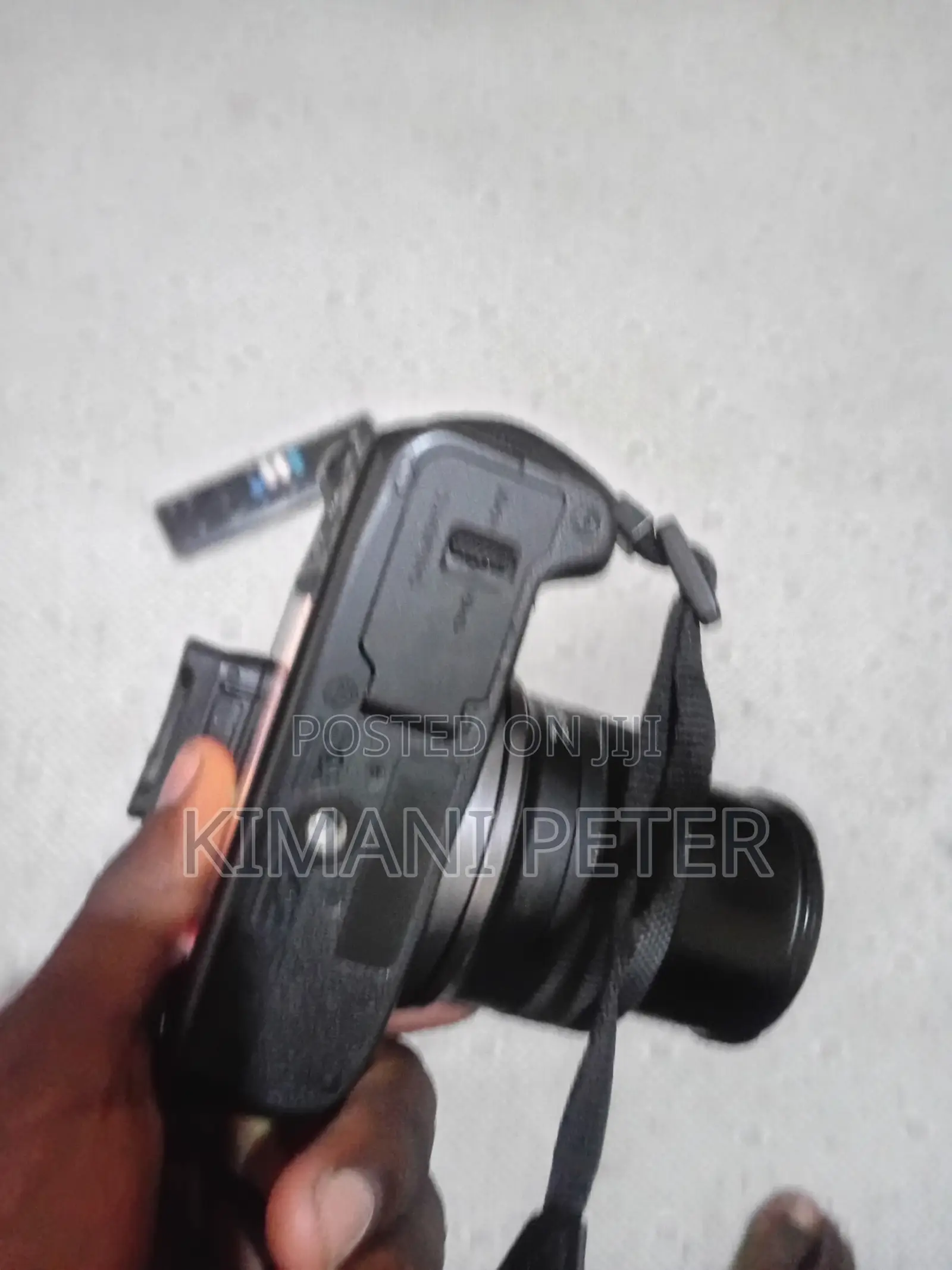 Canon R100