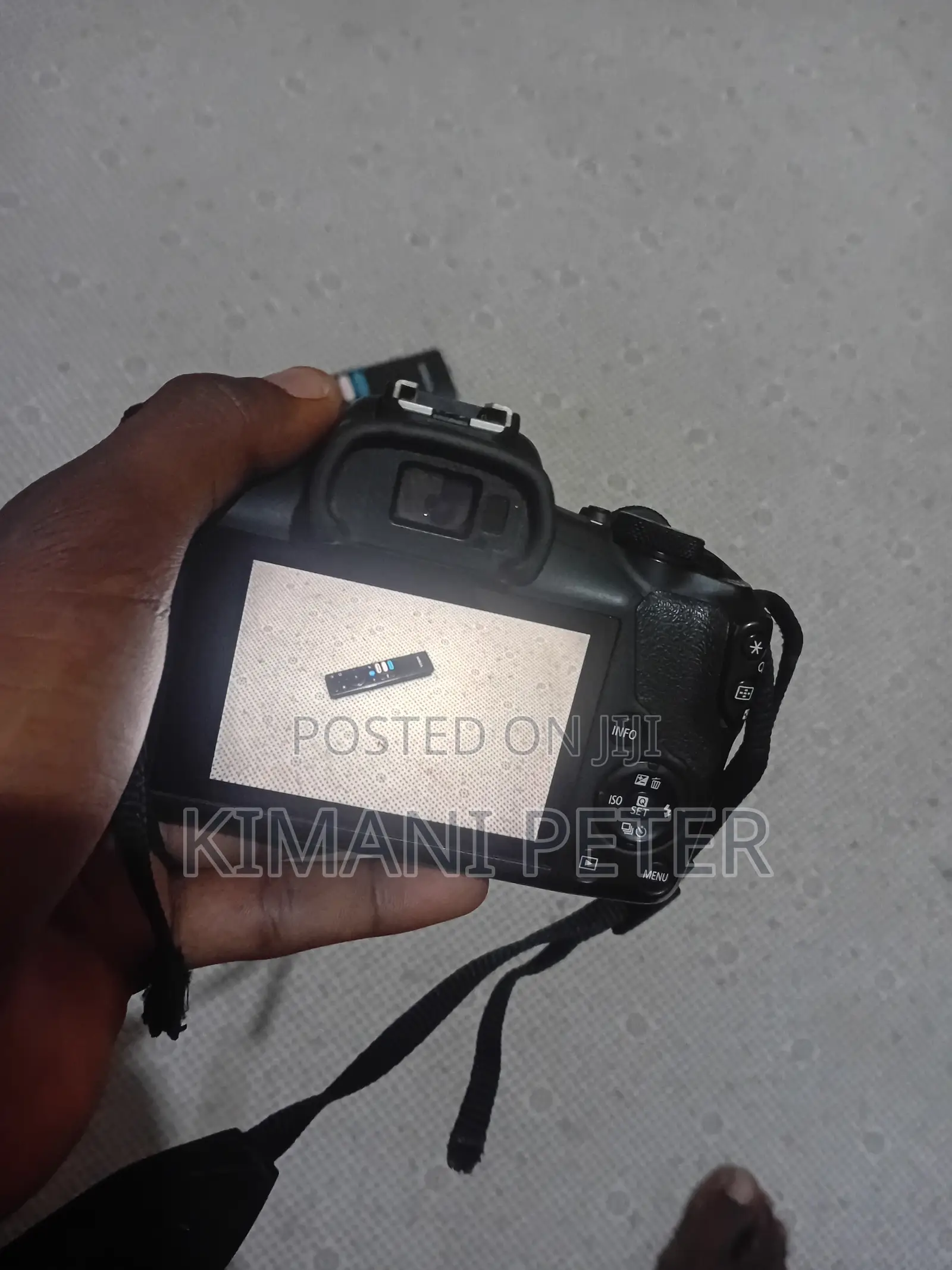 Canon R100