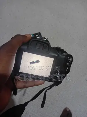 Canon R100