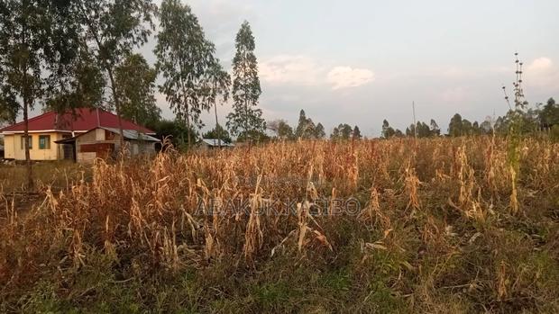 Prime Plot for Sale in Homa West - thumbnail 3