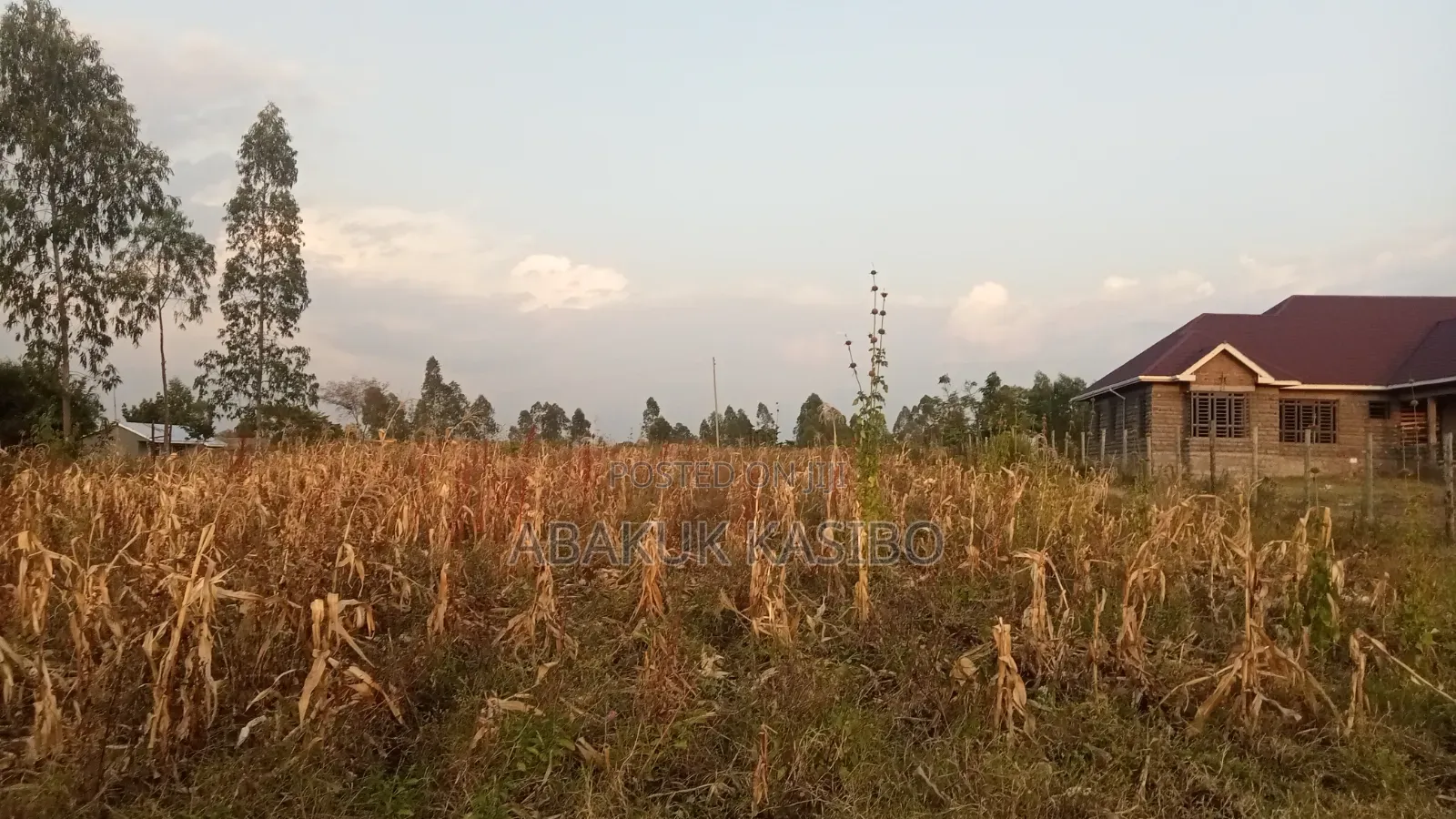 Prime Plot for Sale in Homa West