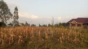 Prime Plot for Sale in Homa West