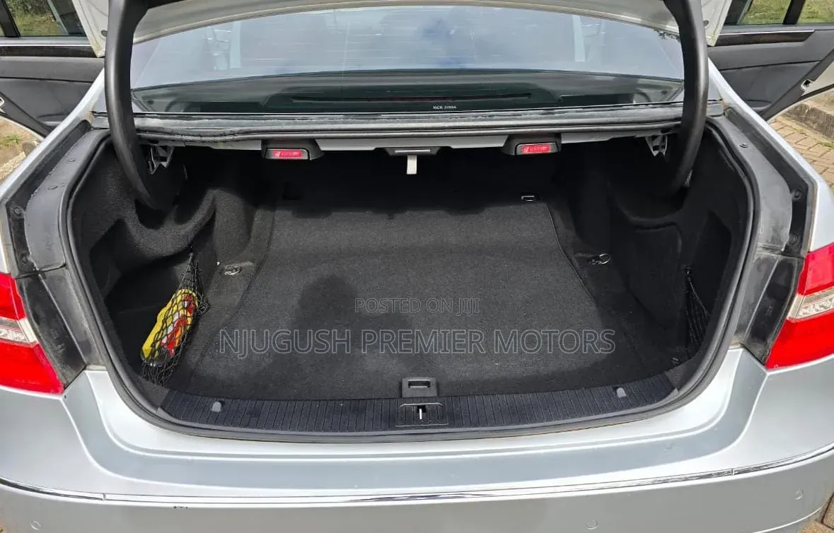 Mercedes-Benz E300 2009 Silver