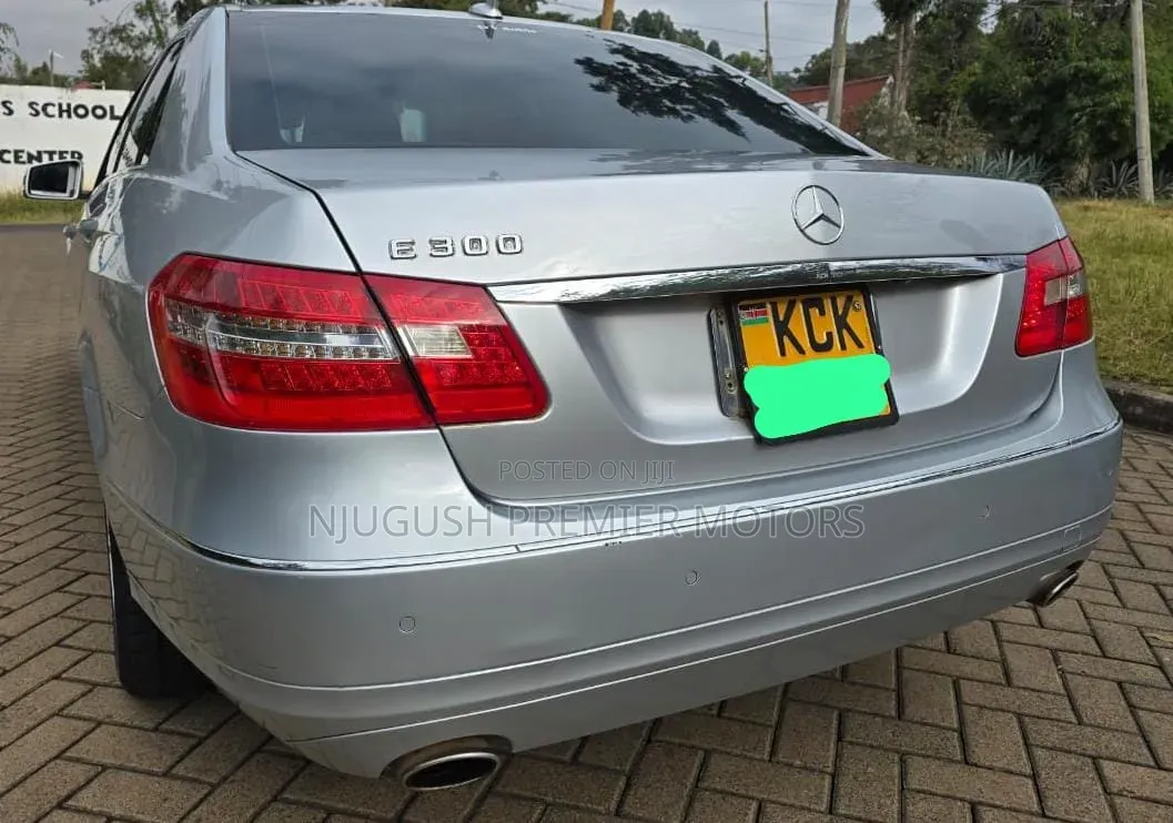 Mercedes-Benz E300 2009 Silver