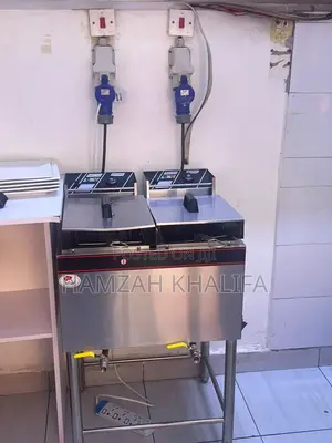 Free Standing Double Deep Fryer