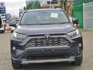 Toyota RAV4 2019 Gray
